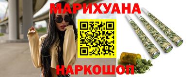 сатива Новозыбков