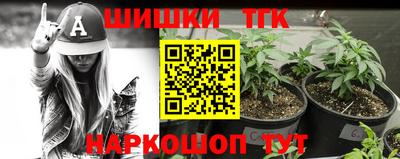 сатива Новозыбков