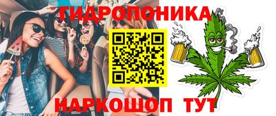гашик Новокубанск