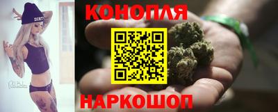 сатива Новозыбков