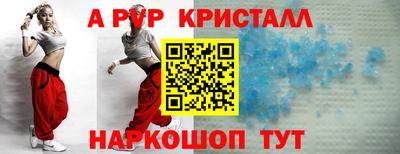 сатива Новозыбков