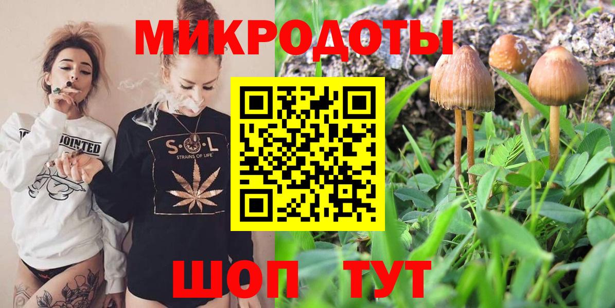 Псилоцибиновые грибы мицелий Урюпинск